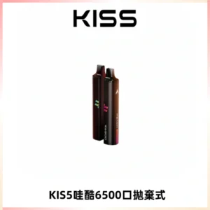 KIS5WAGOO哇酷6500口拋棄式 | 自由混搭雙口味 | 雙芯組合